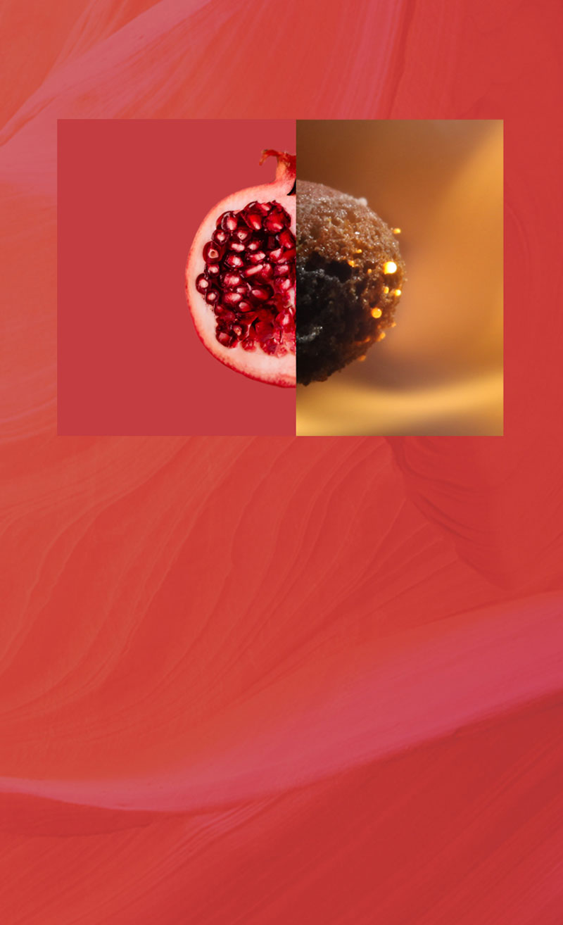 Granatapfel